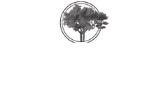 Dogwood Wealth Advisors